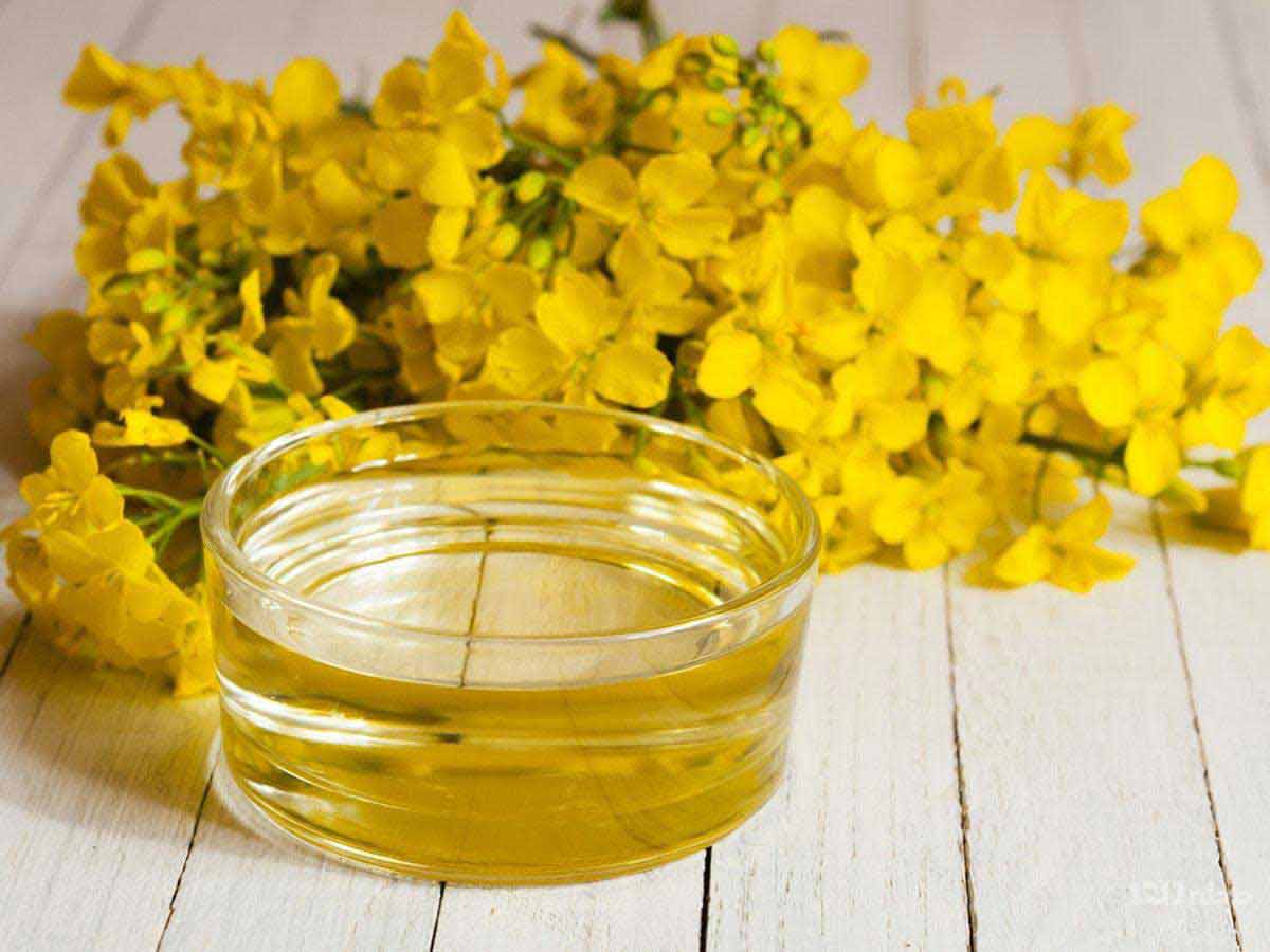 پرداخت مابه‌التفاوت خرید تضمینی کلزا به کلزاکاران، شورای قیمتگذاری و اتخاذ سیاست‌های حمایتی محصولات اساسی کشاورزی با پرداخت مابه‌التفاوت نرخ خرید تضمینی قدیم و جدید کلزا به کلزاکاران موافقت کرد.