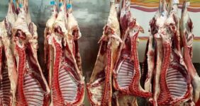 به گزارش خبرانرژی، مشاهدات میدانی از مغازه‌های سطح شهر تهران نشان می‌دهد قیمت هر کیلوگرم شقه گوسفندی ۳۰۵ هزار تومان، ران با راسته و ران با گردن ۳۳۸ هزار تومان، ران خالی ۳۵۸ هزار تومان، سردست با دنده ۳۳۵ هزار تومان، کف دست بدون دنده ۳۵۸ هزار تومان، ماهیچه اعلا ۳۹۸ هزار تومان و راسته گوسفندی ۳۳۸ هزار تومان است.