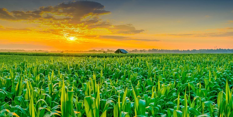 به گزارش خبر انرژی، ‌علیرضا مهاجر با اشاره به فرمایشات رهبر انقلاب در موضوع مهار تورم و رشد تولید، اظهار داشت: از آنجا‌ که نهاده‌های دامی و کشاورزی سهم زیادی در قیمت تمام شده تولید دارد، برنامه ما این خواهد بود که قیمت نهاده ها را کنترل کنیم.