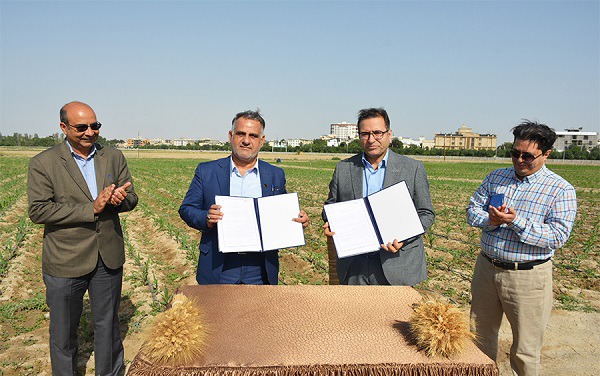 به گزارش خبر انرژی به نقل از روابط عمومی پژوهشگاه بیوتکنولوژی کشاورزی، این تفاهم‌نامه که به امضای غلامرضا صالحی جوزانی رئیس پژوهشگاه بیوتکنولوژی کشاورزی و محمد زمانیان رئیس ، برای دستیابی به تعامل و همکاری فعال و سازنده علمی و پژوهشی هدفمند با مشارکت تخصص‌های مختلف در راستای وظایف حاکمیتی و تحقیقاتی هر یک از طرفین به منظور توسعه و تجاری‌سازی محصولات فناورانه و رفع چالش‌های بخش کشاورزی است.