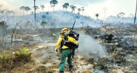 به گزارش خبر انرژی به نقل از روابط عمومی سازمان منابع طبیعی، عباسعلی نوبخت در سی و دومین جلسه وبیناری طرح مردمی کاشت یک میلیارد درخت که یکشنبه ۱۸ تیر ماه برگزار شد، گفت: با افزایش گرمای هوا اکنون شاهد خشک شدن پوشش گیاهی و علفزارها در عرصه‌های منابع طبیعی هستیم که کوچکترین بی‌احتیاطی و عدم رعایت ایمنی در عرصه، سبب می‌شود تا جنگل‌ها و مراتع کشور دچار خسارت‌های جبران‌ناپذیر شوند.