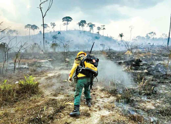 به گزارش خبر انرژی به نقل از روابط عمومی سازمان منابع طبیعی، عباسعلی نوبخت در سی و دومین جلسه وبیناری طرح مردمی کاشت یک میلیارد درخت که یکشنبه ۱۸ تیر ماه برگزار شد، گفت: با افزایش گرمای هوا اکنون شاهد خشک شدن پوشش گیاهی و علفزارها در عرصه‌های منابع طبیعی هستیم که کوچکترین بی‌احتیاطی و عدم رعایت ایمنی در عرصه، سبب می‌شود تا جنگل‌ها و مراتع کشور دچار خسارت‌های جبران‌ناپذیر شوند.