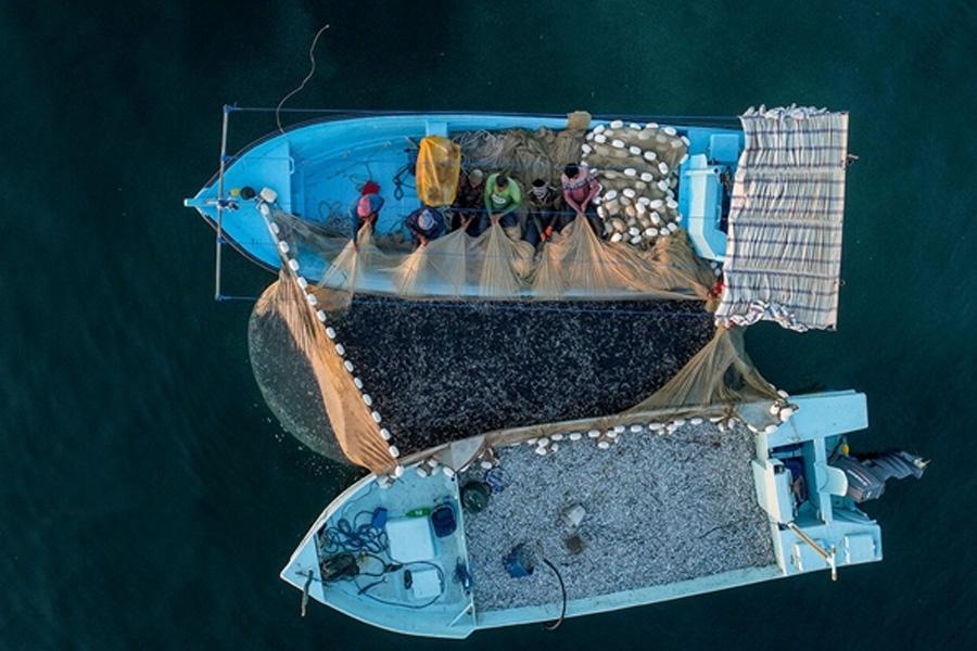 به گزارش خبر انرژی به نقل از پایگاه اطلاع‌رسانی سازمان بنادرودریانوردی؛ حسین عباس‌نژاد در جمع خبرنگاران، اظهارداشت: در خصوص ثبت شناورهای صیادی که اخیرا از طریق درگاه ملی صدور مجوزها، مجوزشان صادر شده ، سازمان بنادر نیز هم‌راستا با ضوابط ابلاغی در پنج بندر جاسک، قشم، کیش، بندرلنگه و بندرشهید باهنر تمام امکانات خود را برای انجام فرآیند ثبت و صدور مجوز قایق های صیادی بسیج کرده است.