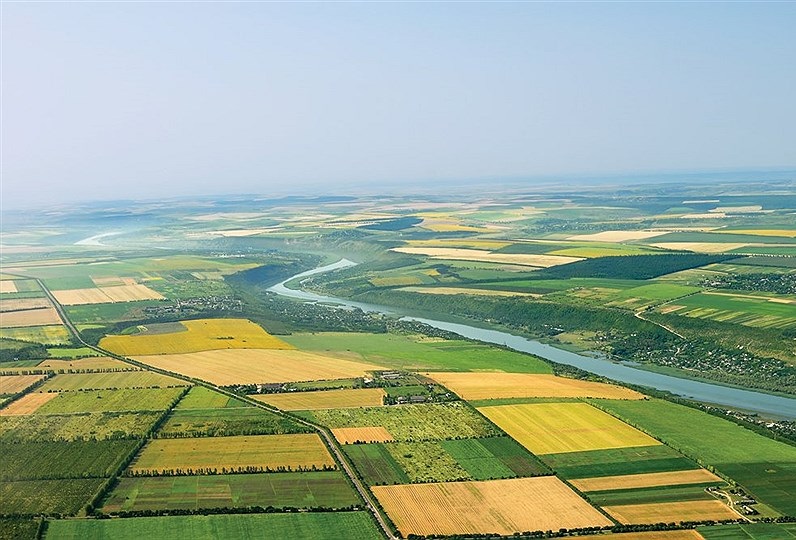 به گزارش خبر انرژی به نقل از پایگاه اطلاع‌رسانی وزارت جهاد کشاورزی،‏ سرپرست دفتر یکپارچگی و بهره‌وری اراضی کشاورزی سازمان امور اراضی کشور ضمن بیان این مطلب افزود: تاکنون ۳۱۶ پایلوت تجمیع و یکپارچگی اراضی کشاورزی به مساحت ۱۶۳ هزار هکتار از سوی ۲۵ استان کشور تهیه و به سازمان امور اراضی کشور اعلام شده است.