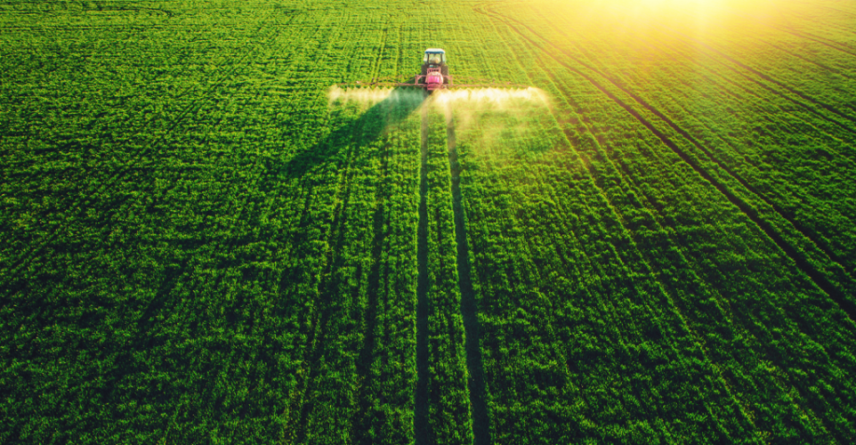 به گزارش خبرانرژی به نقل از سازمان جهاد کشاورزی یزد، محمدعلی حاتمی‌زاده سرپرست سازمان جهاد کشاورزی استان یزد خاطرنشان کرد: بخش کشاورزی استان با وجودیکه در مجموع حدود یک درصد از کل سطح زیرکشت آبی کشور را به خود اختصاص داده، ۱/۳ درصد از تولیدات کشور را از آن خود کرده است که موید بهره‌وری مناسب از زمین و آب توسط کشاورزان زحمتکش این خطه است.