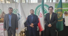  به گزارش خبر انرژی به نقل از روابط عمومی صندوق مشترک استان ها، ولی الله آقایارزاده، مشاور ویژه اقتصادی صندوق مشترک استان ها سازمان نظام مهندسی کشاورزی و منابع طبیعی کشور  ازحضور این صندوق در نمایشگاه خبر داد و گفت:  صندوق مشترک استان ها از هر فرصتی برای معرفی و تبیین اهداف و سیاست های خود استفاده می کند، نمایشگاه آیفارم هم فرصت مناسبی برای معرفی صندوق و ظرفیت های آن است.