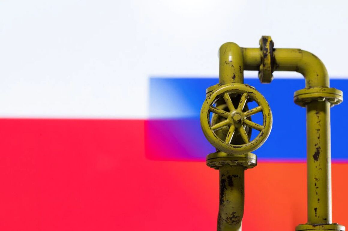 به گزارش خبرانرژی به نقل از خبرگزاری رویترز، محاسبات این خبرگزاری نشان داد روسیه توانسته است به‌سرعت بعضی پالایشگاه‌های نفتی کلیدی خود را که هدف حمله پهپادهای اوکراینی قرار گرفت تعمیر کند و توان بهره‌گیری از ظرفیت پالایشی را افزایش دهد.