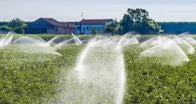 به گزارش خبرانرژی به‌نقل از پتروشیمی بندر امام، سپهدار انصاری‌نیک در بازدید از چهاردهمین نمایشگاه تخصصی اصفهان‌پلاست با هدف آشنایی با شرکت‌های پایین‌دستی و نیاز آن‌ها بیان کرد: سالانه در کل کشور حدود ۲ میلیون تن پلی‌اتیلن، حدود ۶۰۰ هزار تن پلی‌استر و حدود ۶۰۰ هزار تن پی‌وی‌سی تولید می‌شود.