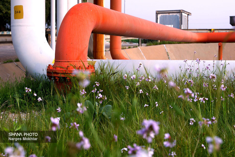 به گزارش خبرانرژی به‌نقل از شرکت ملی گاز ایران، قاسم مایلی رستمی، مدیرعامل شرکت گاز استان مازندران، در آیین بهره‌برداری از این پروژه‌ها گفت: در ۱۰۰۰ روز خدمت رئیس‌جمهور شهید و با تلاش کارکنان این شرکت، ۶۰ هزار انشعاب گاز در استان نصب شده است.به گزارش خبرانرژی به‌نقل از شرکت ملی گاز ایران، قاسم مایلی رستمی، مدیرعامل شرکت گاز استان مازندران، در آیین بهره‌برداری از این پروژه‌ها گفت: در ۱۰۰۰ روز خدمت رئیس‌جمهور شهید و با تلاش کارکنان این شرکت، ۶۰ هزار انشعاب گاز در استان نصب شده است.