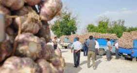 به گزارش خبرانرژی به نقل از خبرنگار تولید و بازار، احمد سجادی فر: اکبر فتحي در ششمين همايش سير که در شهر تيمورلو شهرستان آذرشهر برگزار شد با بيان اينکه توجه به بازرگاني محصولات کشاورزي باعث توسعه اقتصادي مي شود ادامه داد: اگر مي‌خواهيم محصولات کشاورزي توسعه پيدا کند بايد ابتدا بازار آن را سر و سامان داده و به سمت برندينگ حرکت کنيم.