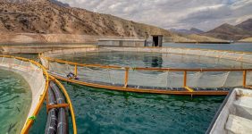 به گزارش خبرانرژی، کارشناسان آبزی‌پروری، ذی نفعان صنعت آبزیان و نمایندگان کشورها برای رسیدگی به چالش ها و اولویت‌های نوظهور منطقه از ۴ تا ۵ دسامبر ۲۰۲۴ (۱۴ تا ۱۵ آذر ۱۴۰۳)در کنفرانس منطقه‌ای آبزی‌پروری دریای مدیترانه و دریای سیاه گرد هم می‌آیند.