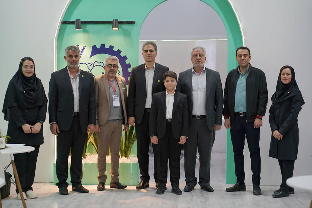 به گزارش خبرانرژی به نقل از روستانیوز، شرکت دانه طلایی کمیجان در سال ۱۳۸۳ در فضایی به مساحت ۱۵ هزار متر مربع در شهرک صنعتی کمیجان در دو سایت افتتاح و آغاز به فعالیت نموده است.