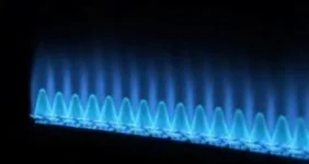 مصرف ۷۸ درصد گاز طبیعی در بخش خانگی؛ سخنگوی شرکت ملی گاز ایران با اشاره به پایداری هوای سرد از مصرف ۷۸ درصد از کل گاز طبیعی تحویلی به شبکه سراسری در بخش خانگی، تجاری و صنایع جزء خبر داد.