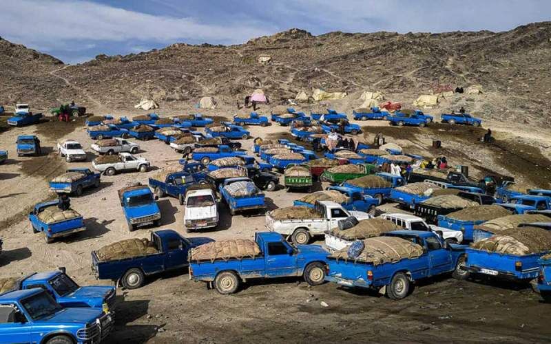 به گزارش خبرانرژی به نقل از مهر، قاچاق سوخت در حال حاضر به یکی از مهم‌ترین معضلات اقتصادی و امنیتی ایران تبدیل شده است؛ معضلی که به‌واسطه تفاوت چشمگیر قیمت سوخت در داخل با کشورهای همسایه، پیامدهای جدی برای اقتصاد ملی و زندگی مرزنشینان ایجاد کرده است.