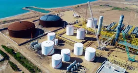 به گزارش خبر انرژی، نزهت از اسفند ۱۴۰۱ مدیرعامل این پتروشیمی بود.